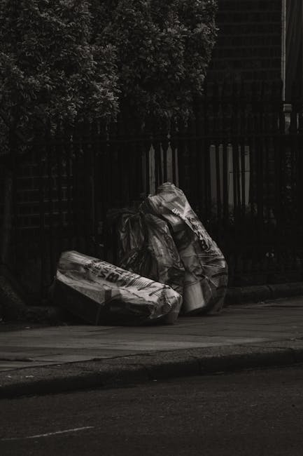 Merton Council rubbish rules for Wimbledon residents